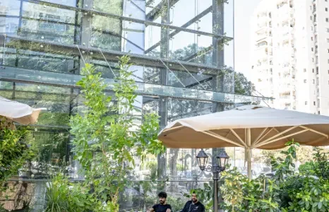 מסעדה לברית