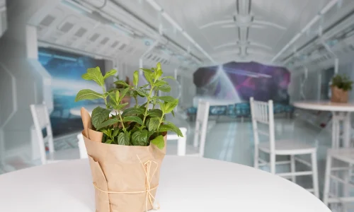 מקומות לאירוע בנתניה