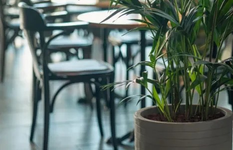 מקומות לבר מצווה במרכז