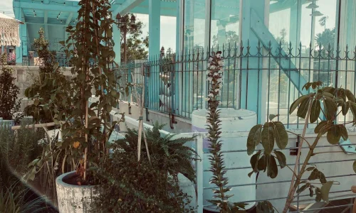 אירוסין בגרם 22