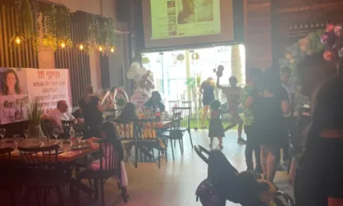 מסיבת ברית בוילה