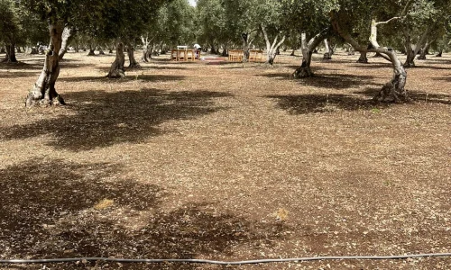 אירועים בטבע בצפון