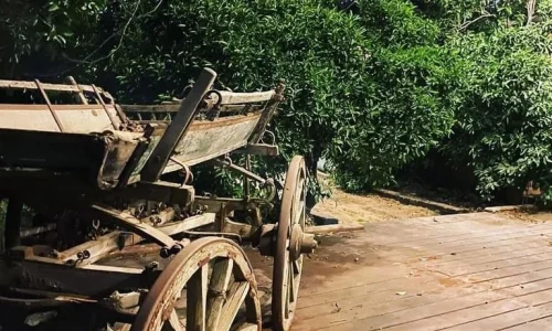 אירועים בטבע בשפלה