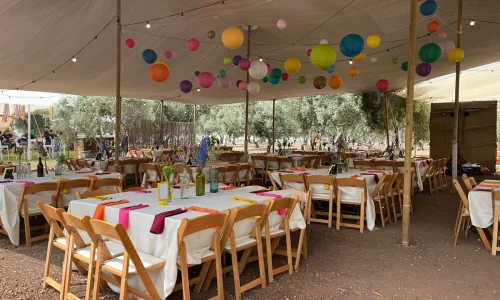 גיבוש בגן הנעלם