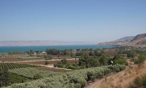 וילה לאירועים בצפון