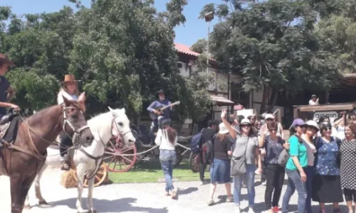 חוות סוסים לאירוע