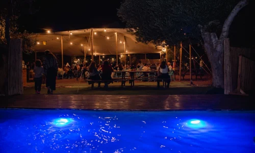 חתונה בטבע עם בריכה