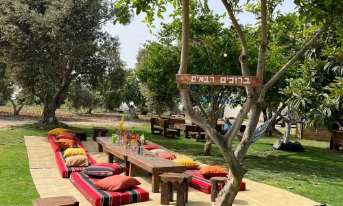 חתונה תחת כיפת השמיים