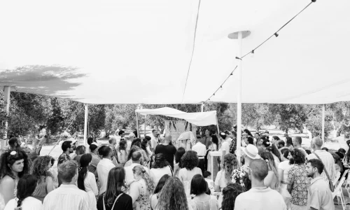 מטע זיתים לאירועים