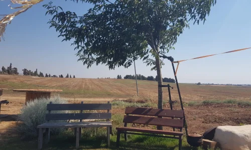 בר מצווה בדרום