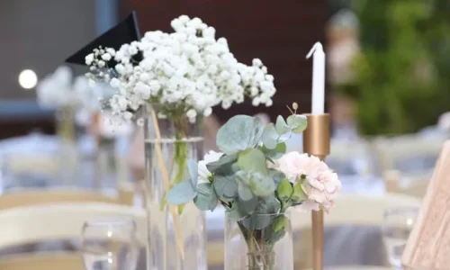 ברית עם נוף