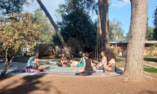 בת מצווה ביער