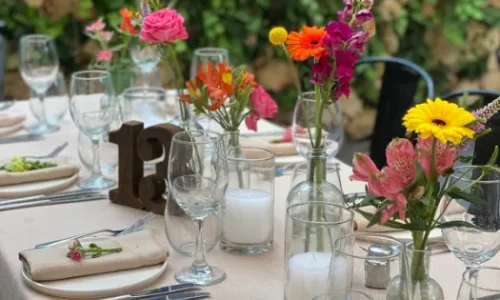 הבוסתן באבו גוש