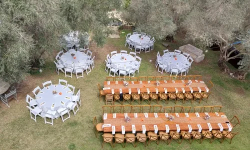 חתונה בטירה