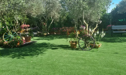 בוסתן הזיתים