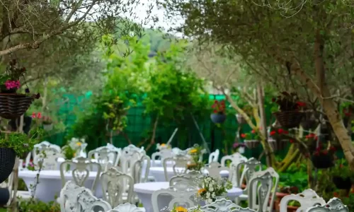 בוסתן הזיתים אירועים קטנים בצפון בטבע