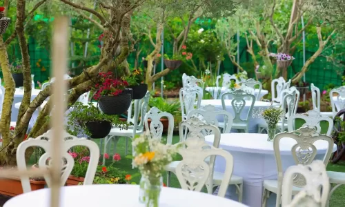 בוסתן הזיתים בר מצווה