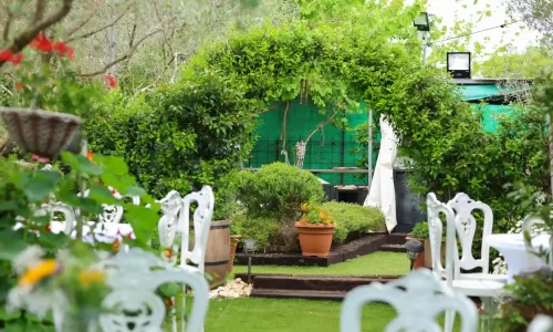 בוסתן הזיתים מקום קסום לאירועים