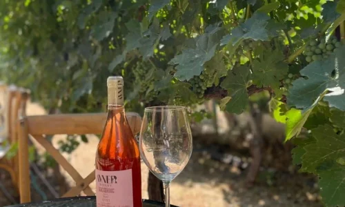 יקב להרמת כוסית