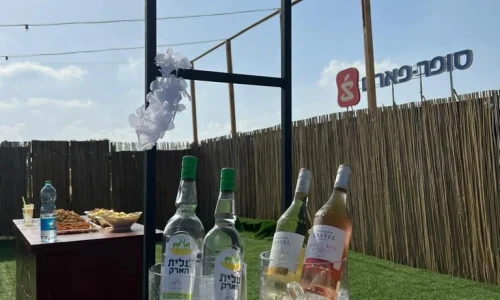 מסיבות על גג בשקיעה