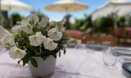 מקומות מיוחדים לאירועים