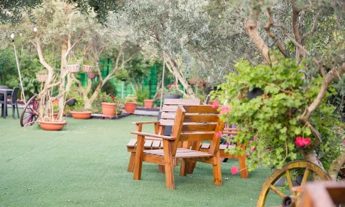 מתחם למסיבות בטבע