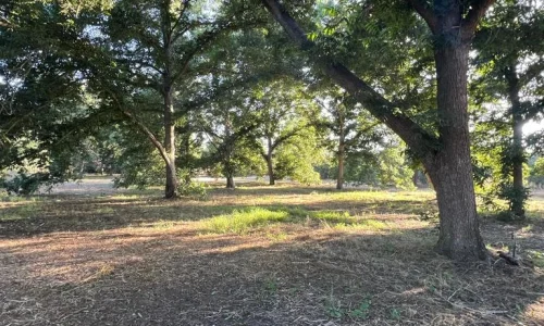 ימי גיבוש בטבע