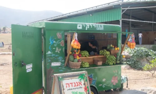 מקומות בטבע עם בריכה