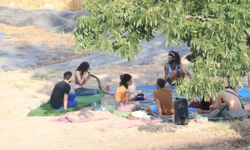 פסטיבל בימה קדמה