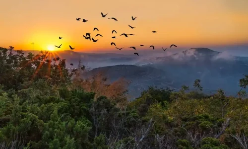 אירועים בצפון