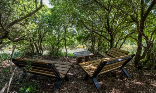 בר מצווה בטבע