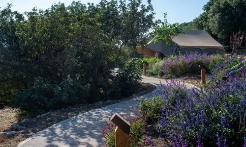 בת מצווה בטבע