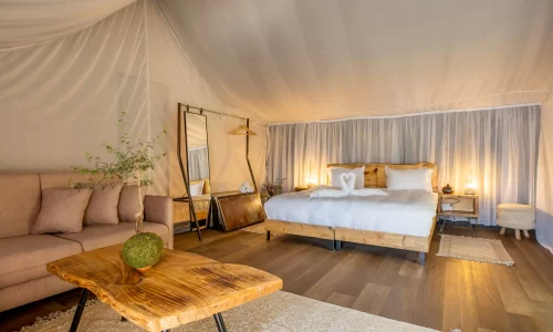 מסיבות ענק בצפון