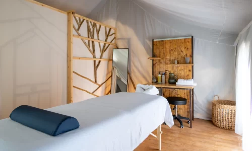 סדנאות וערבי חברה בטבע בצפון