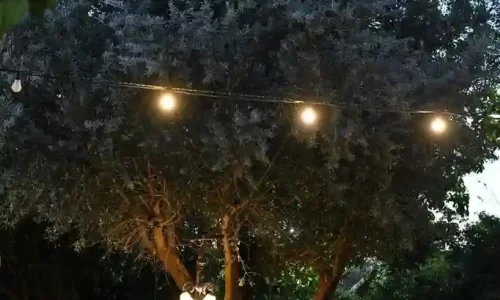 אחוזת דוברובין חתונות עד 1000 איש