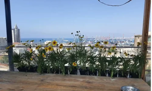 גג21 גג עם נוף לים באיזור הצפון ונמל חיפה שוק תלפיות לאירועים קטנים