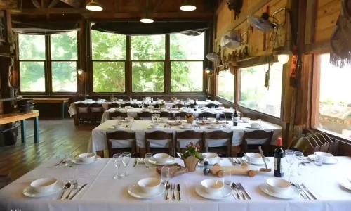 חוות בת יער אירועים בטבע בלב היער נוף צפוני איזור חיפה