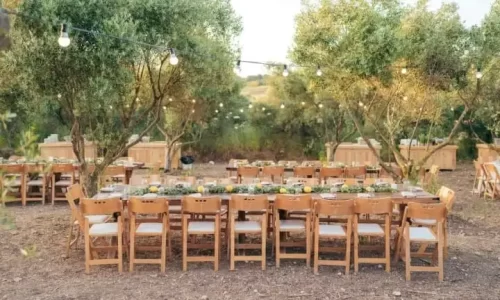 מטע הזיתים במושב אביאל אירועי גיבוש בטבע