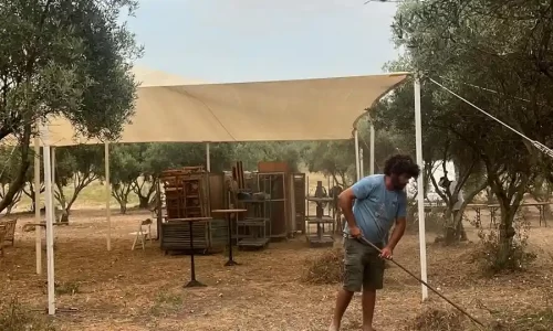 מטע הזיתים במושב אביאל אירועים בטבע