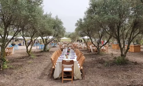 מטע הזיתים במושב אביאל אירועים תחת כיפת השמיים