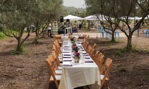 מטע הזיתים במושב אביאל בר מצוות תחת כיפת השמיים