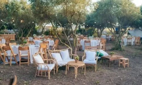 מטע הזיתים במושב אביאל חתונות בר מצוות