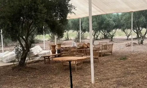 מטע הזיתים במושב אביאל חתונות ואירועים