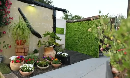 סולם יעקב גן אירועים באזור ראש פינה עד 1000 איש