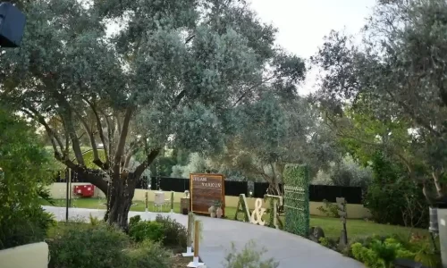 סולם יעקב גן אירועים עד 1000 איש לאירועי חברה