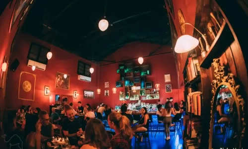 זאלמה בית לקוקטיילים מסיבה עם אלכוהול טוב