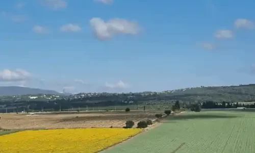 סגרא לימוזין מסעדת בשרים ואולם אירועים בוטיק לאירועים עד 200 איש בצפון