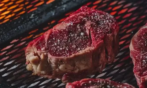 פיטמאסטר אירועים עסקיים מיוחדים שכוללים בשר ואווירה כיפית