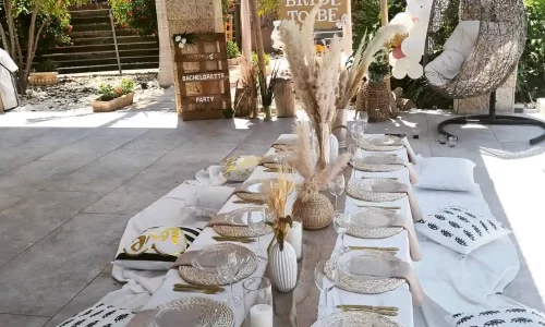 וילה הברבור הוורוד 2