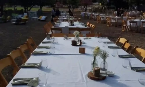 חוות הסוסים בלטרון 10